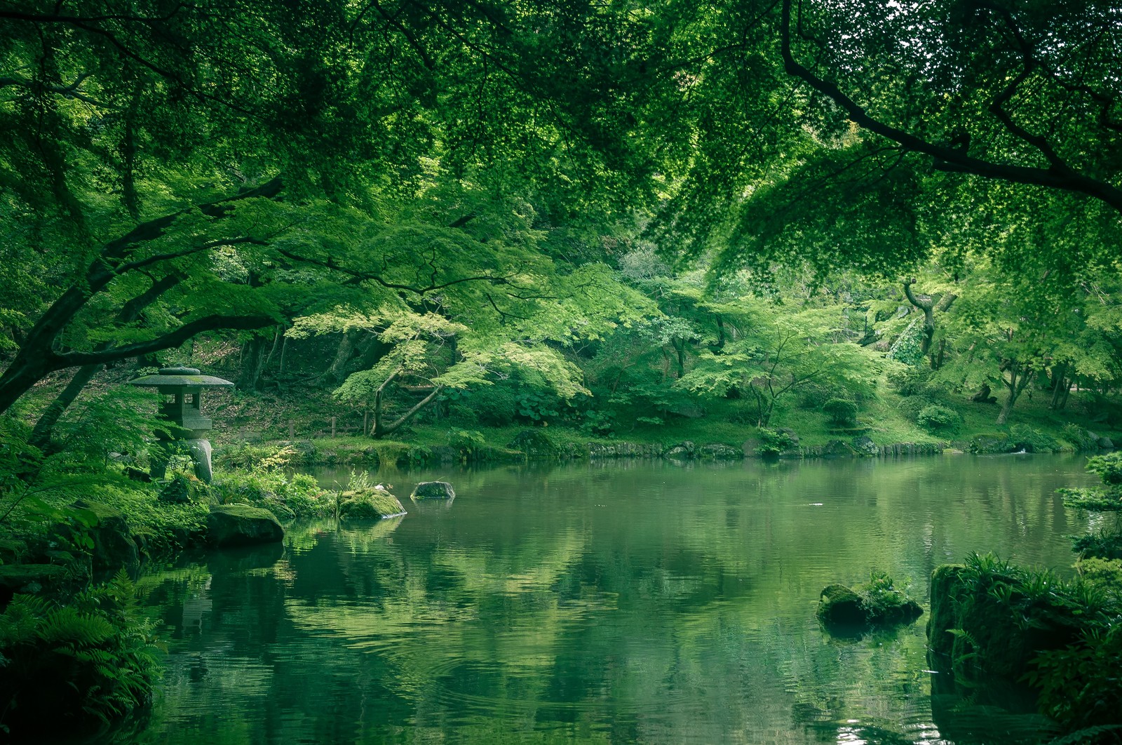 成田山竜智の池
